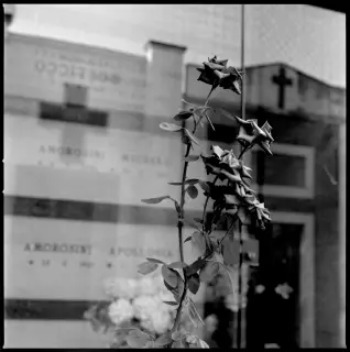 Miscellaneous, foto 15